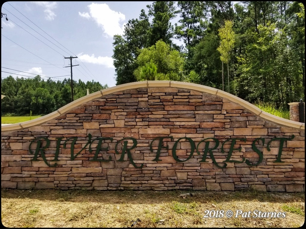 Homes for Sale in 39047 Brandon's River Forest Subdiv