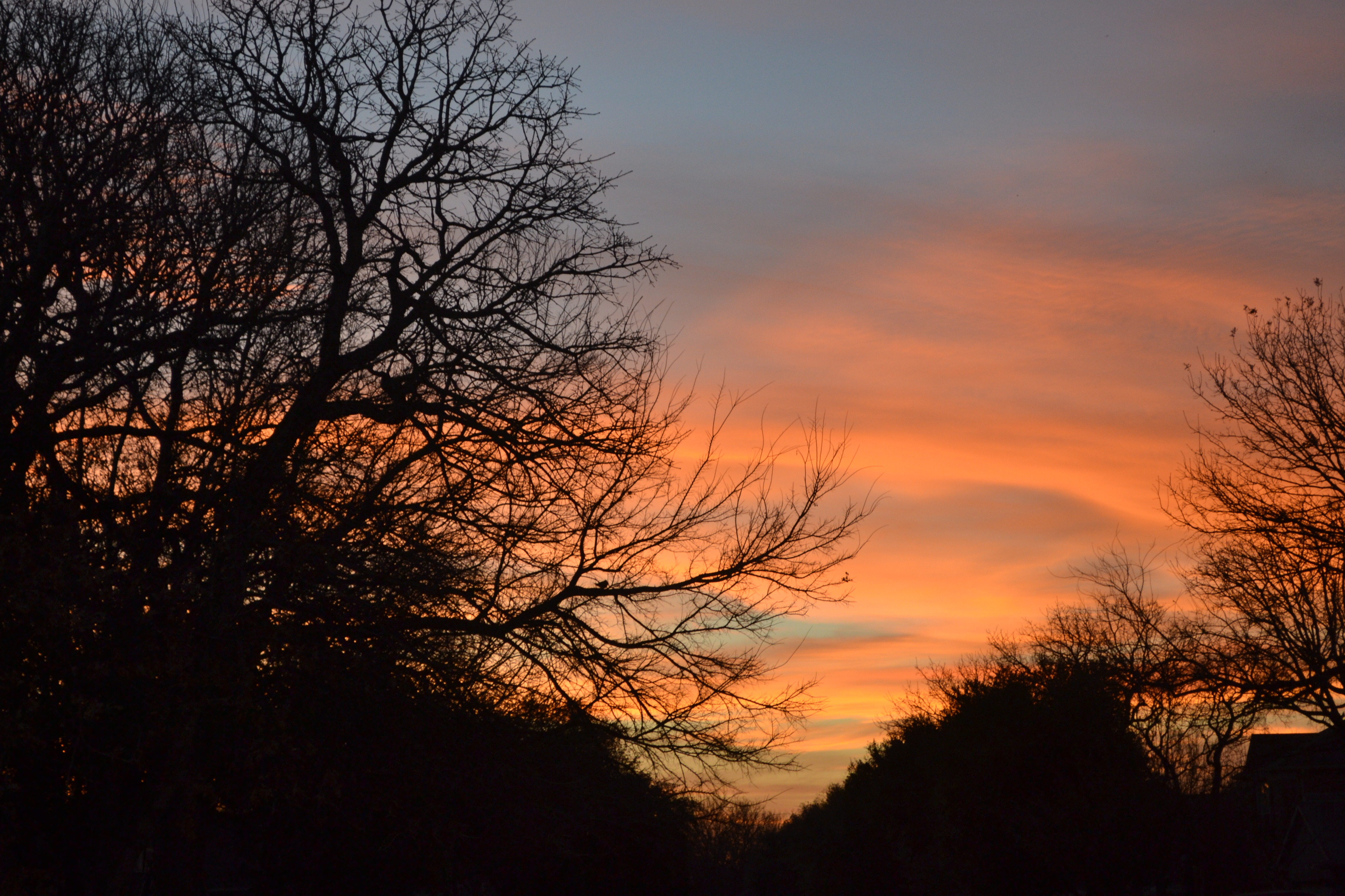 Bits and Pieces of Flower Mound & Local Events