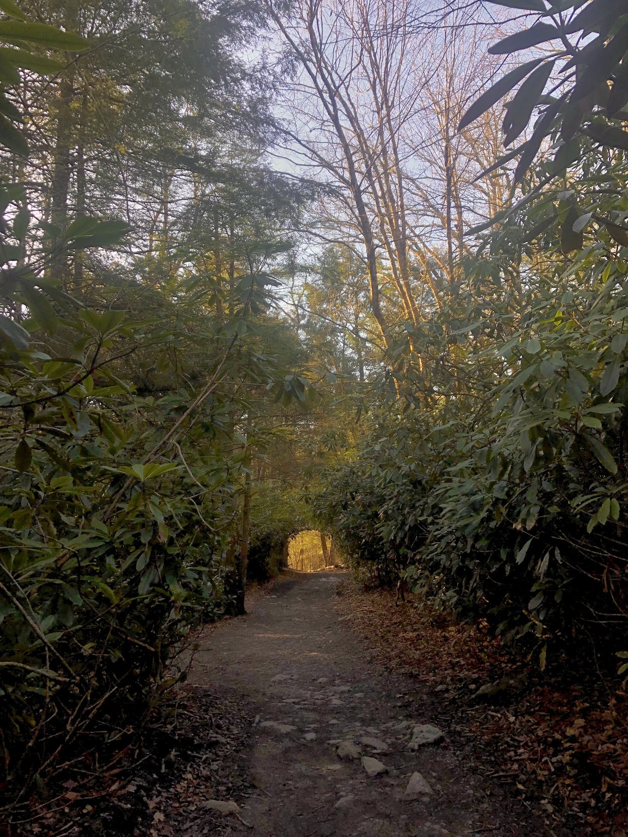 Hickory Run State Park