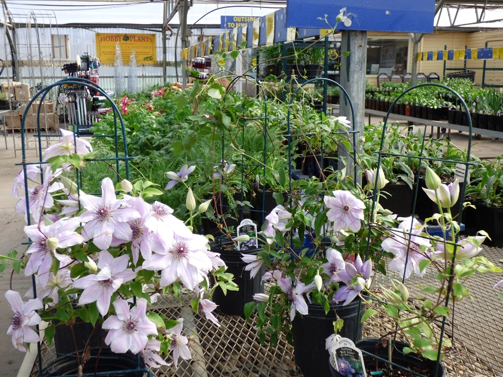 Lowe's Garden Center, Minot ND