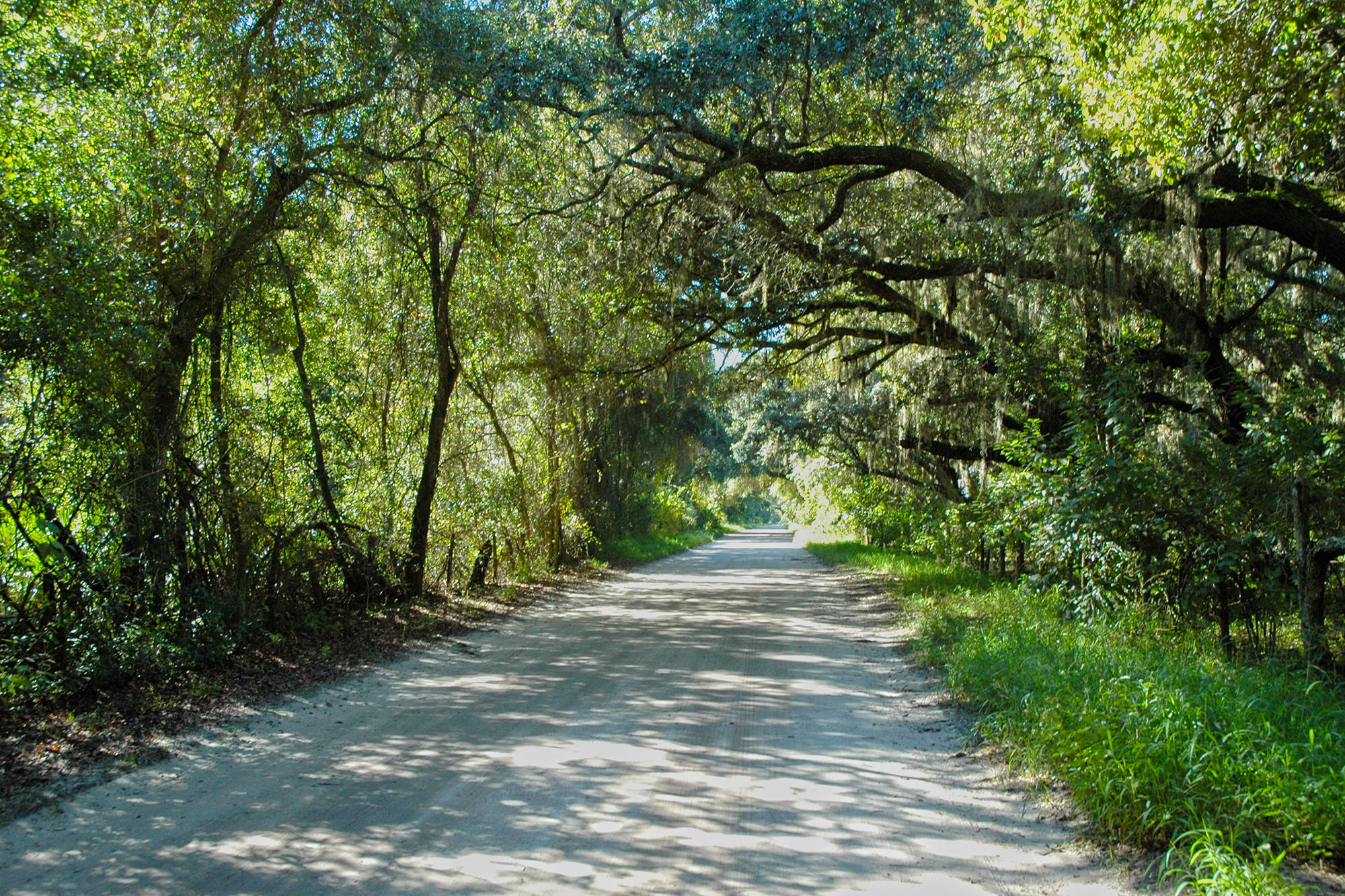 Homes For Sale in Ashley Reserve, Kissimmee, Florida