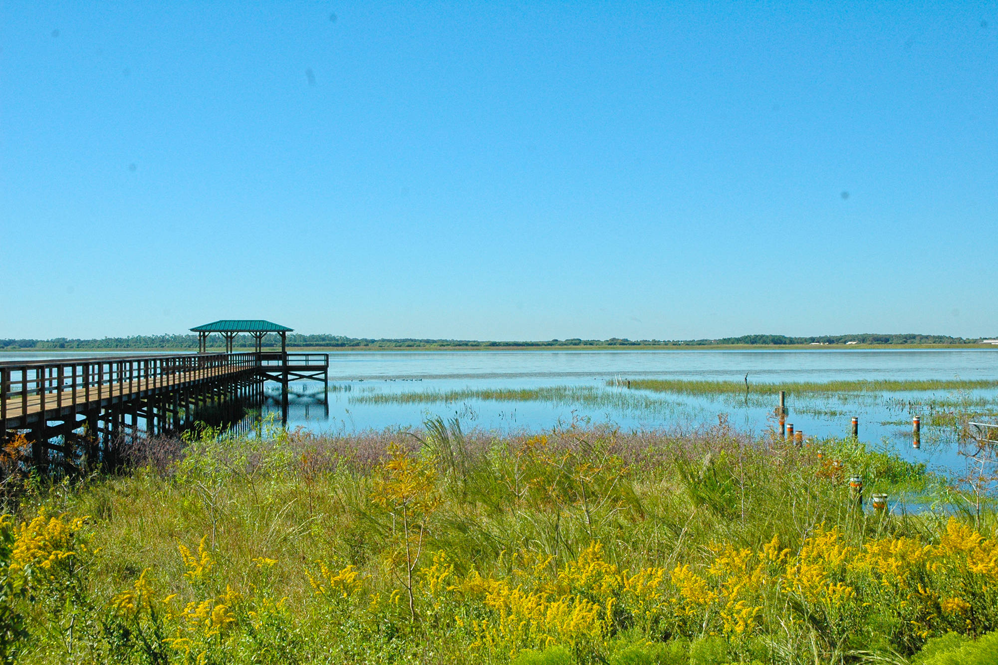 Homes For Sale in Harbour Oaks, Kissimmee, Florida