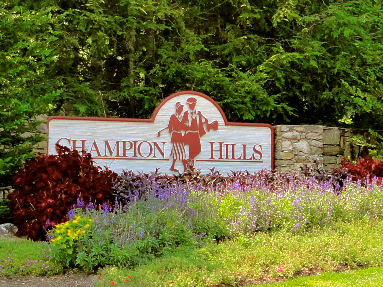 Champion Hills Neighborhood Review