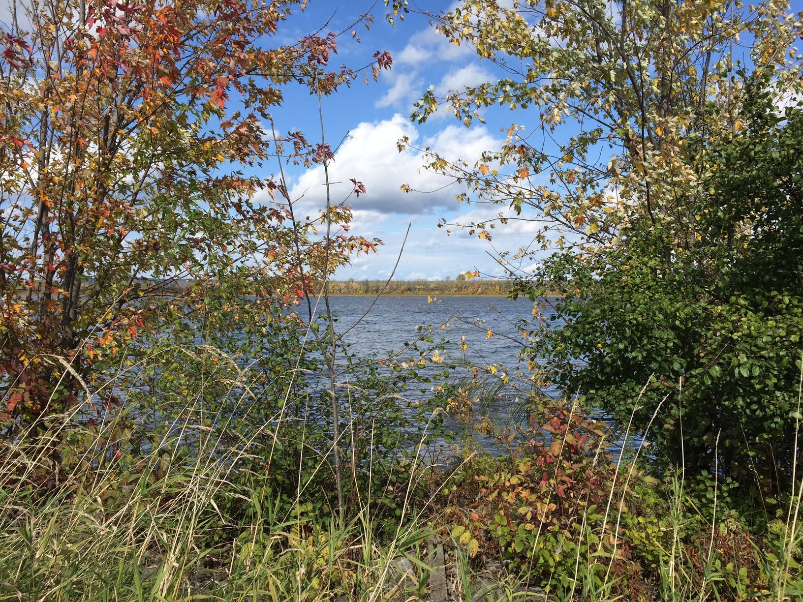 Land for Sale Beautiful waterfront lot Ottawa River