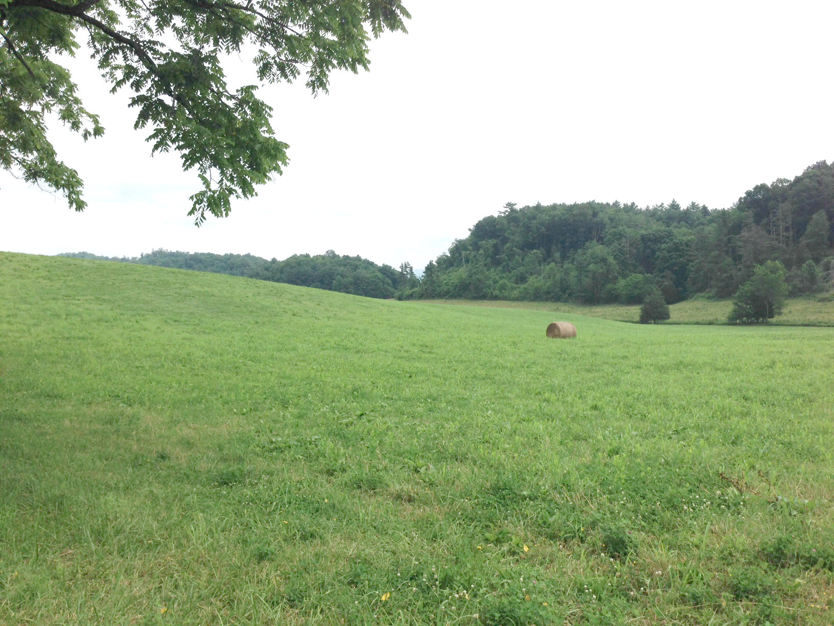 Build Your Dream Home Just Minutes From South Holston Lake in Bristol TN