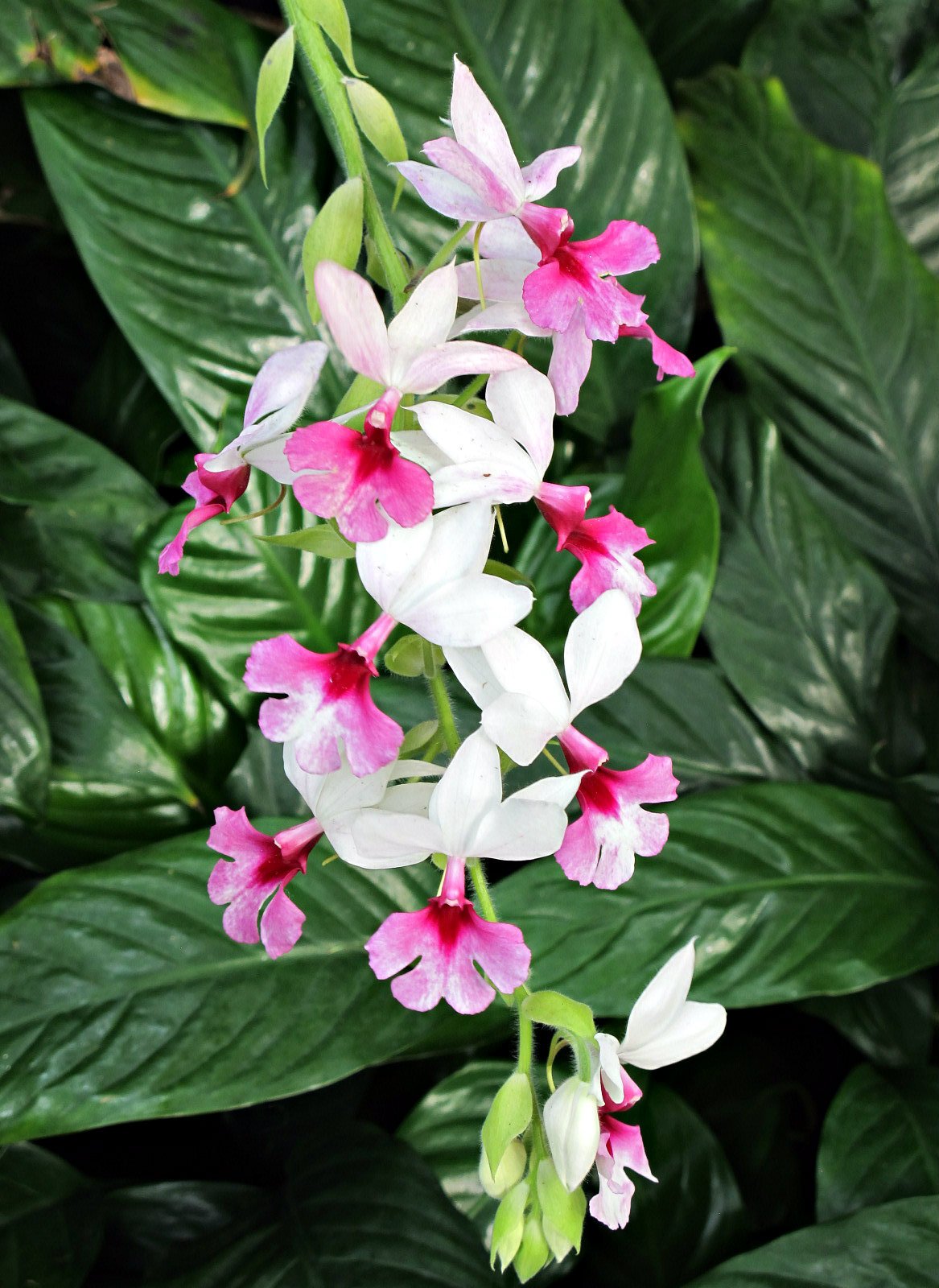 ‘Heads Up, Phones Down’ Teen Video Contest Winners