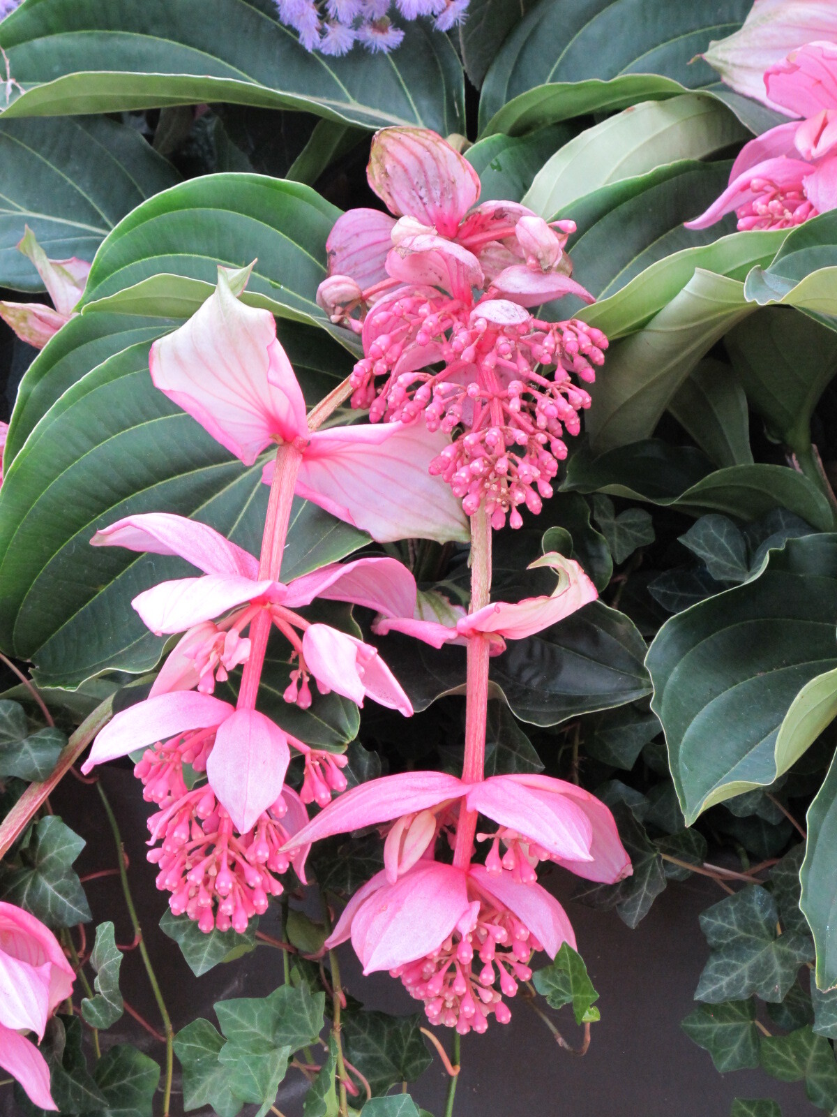 Union Mills Homestead, Union Mills, Maryland