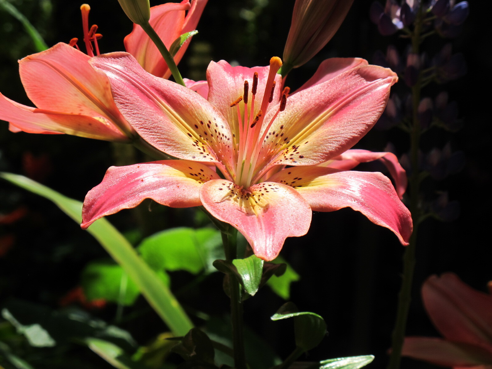 Union Mills Homestead, Union Mills, Maryland