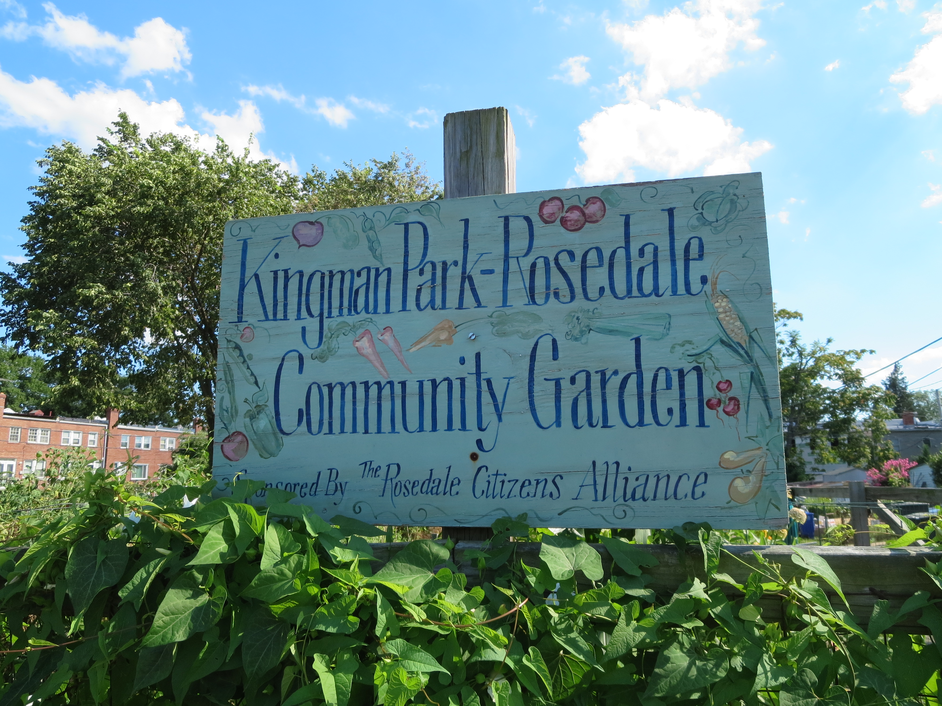 Kingman Park neighborhood in NE Washington, DC