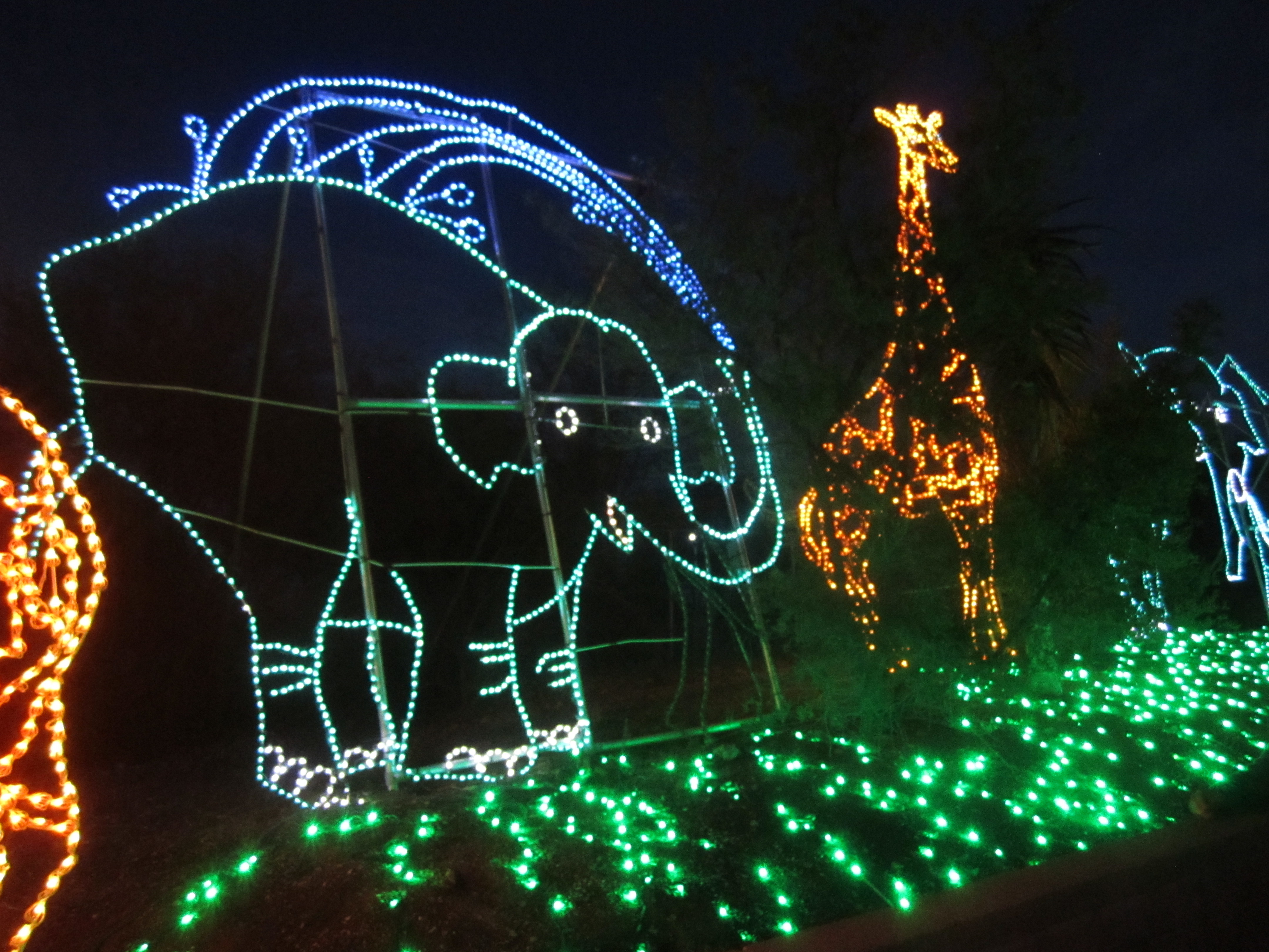 ZooLights at Phoenix ZooExtended till January 15, 2017