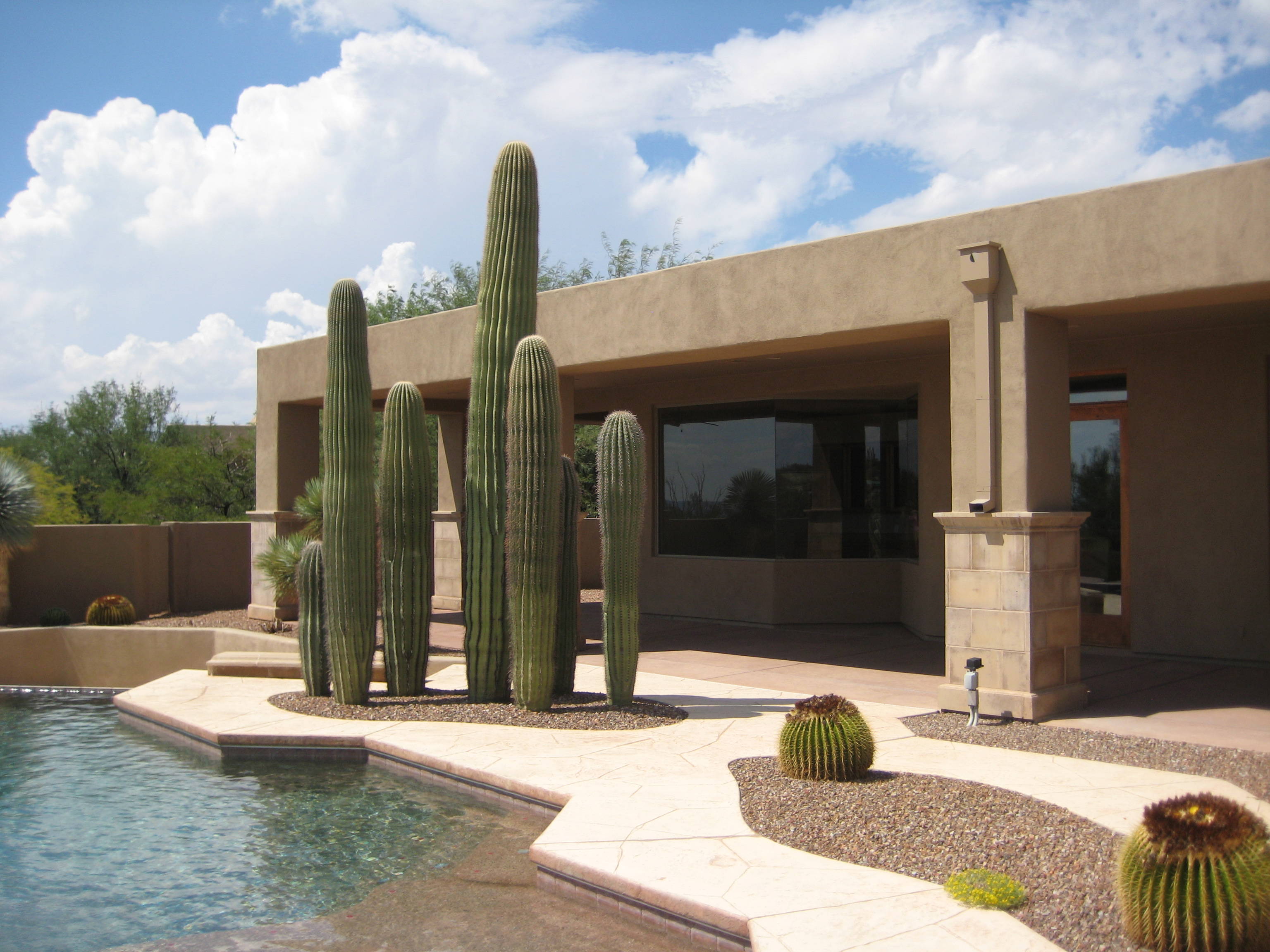 5 Bedroom Homes for Sale in the Tucson, AZ Area