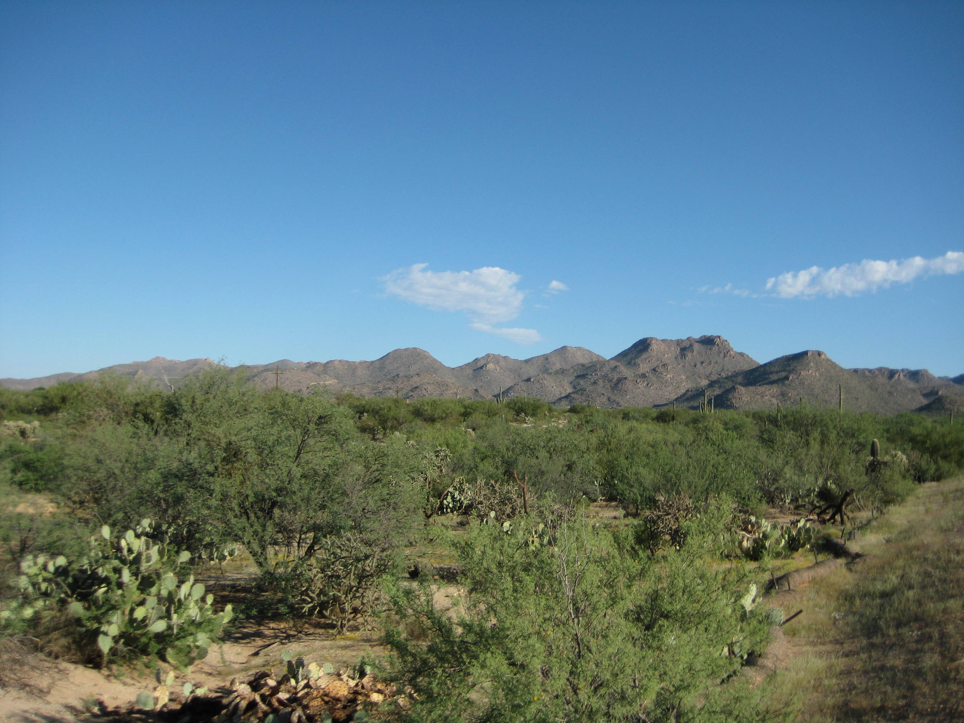 Gated Homes for Sale in Dove Mountain, Marana, AZ