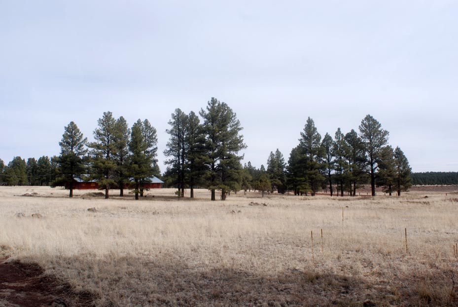 25 acres for sale near Cataract Lake Cooper Ranch RD Williams, AZ
