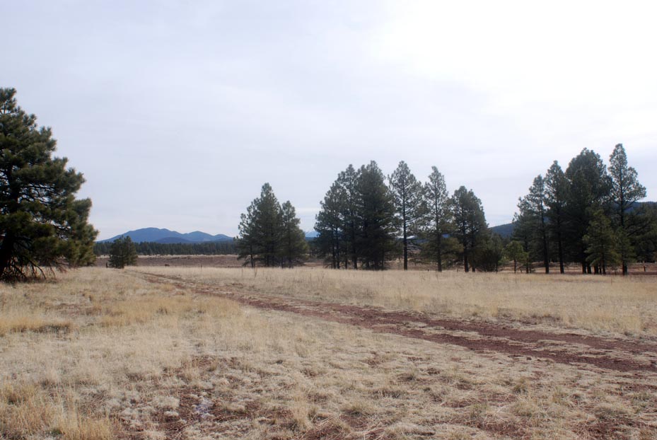 25 acres for sale near Cataract Lake Cooper Ranch RD Williams, AZ