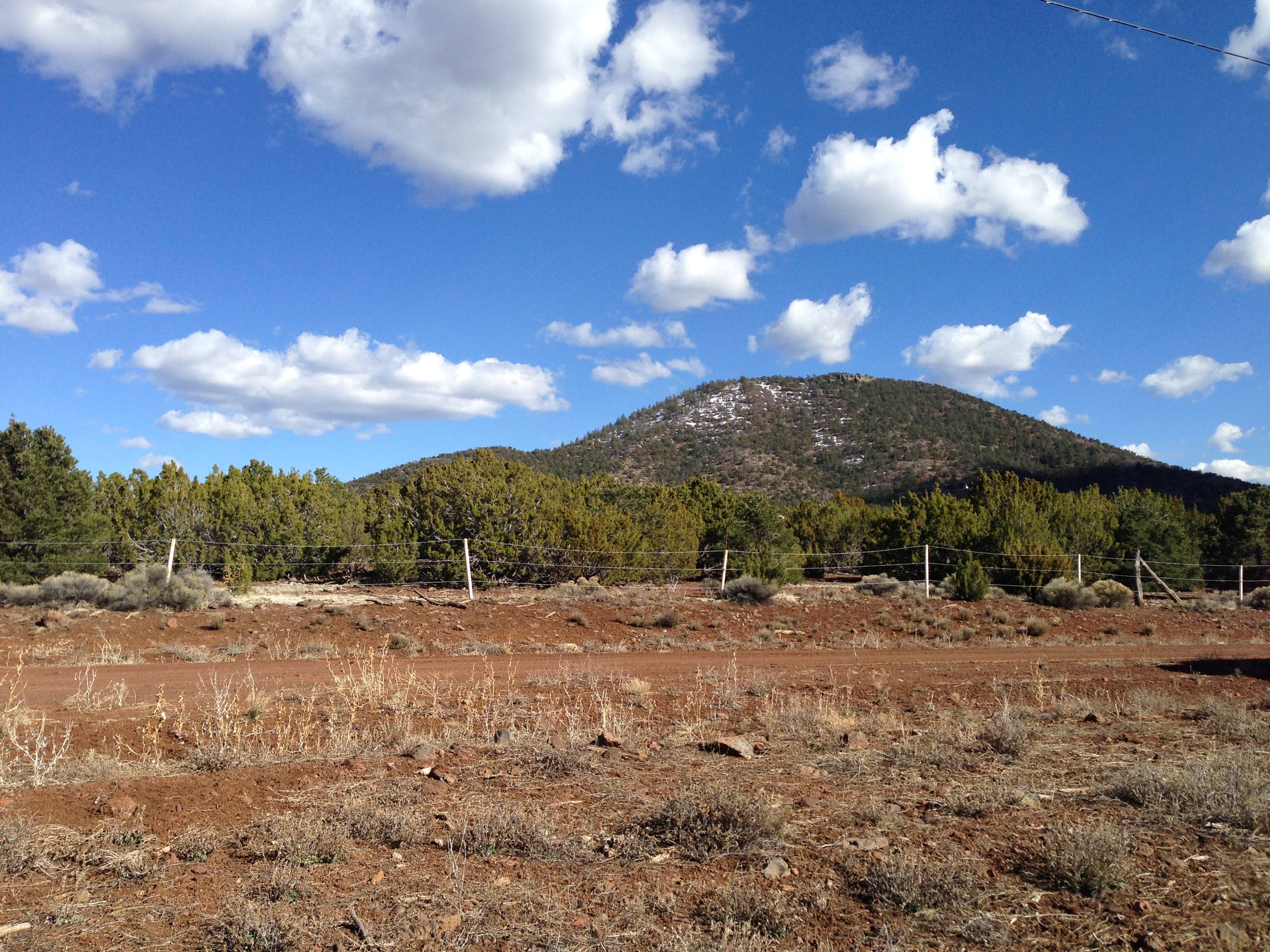 Under Contract! Efficient 1 Acre Vacant Land in William