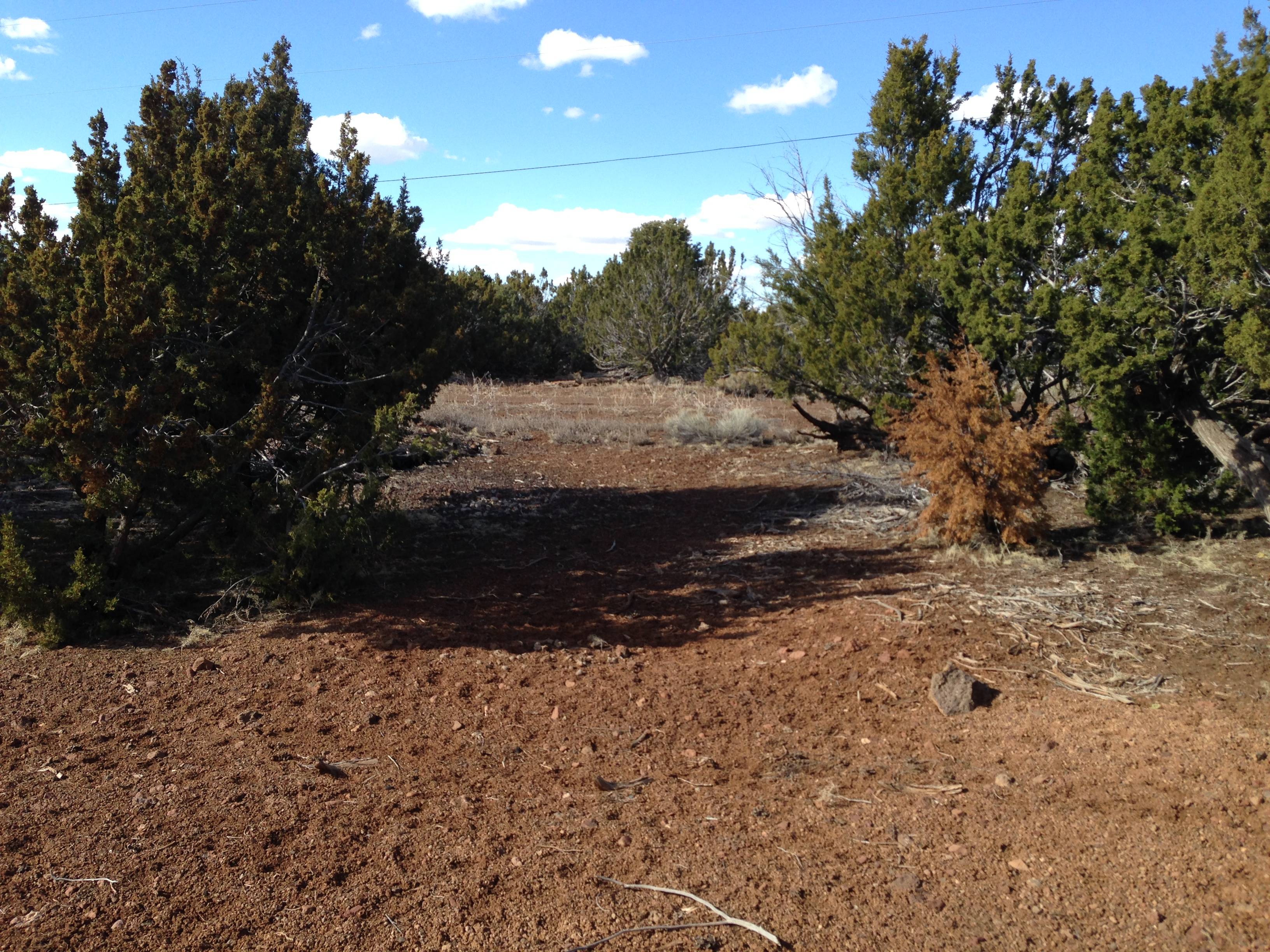 Under Contract! Efficient 1 Acre Vacant Land in William