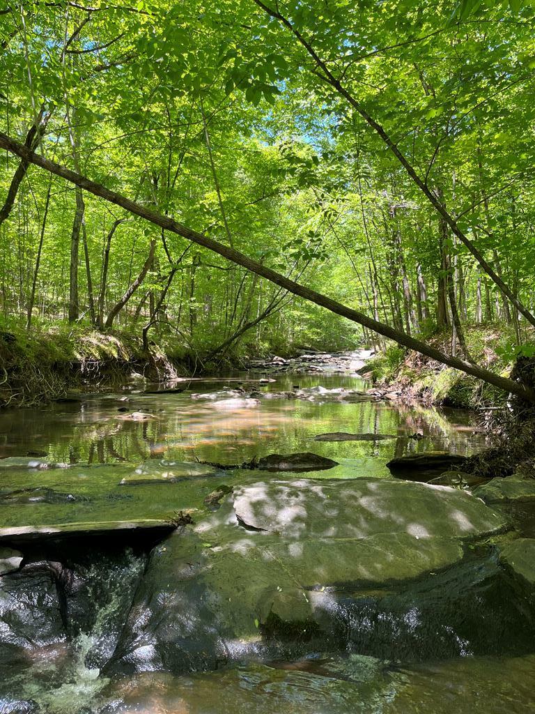 Custom Log Home for sale in Harris County Ga 1827 Real Estate