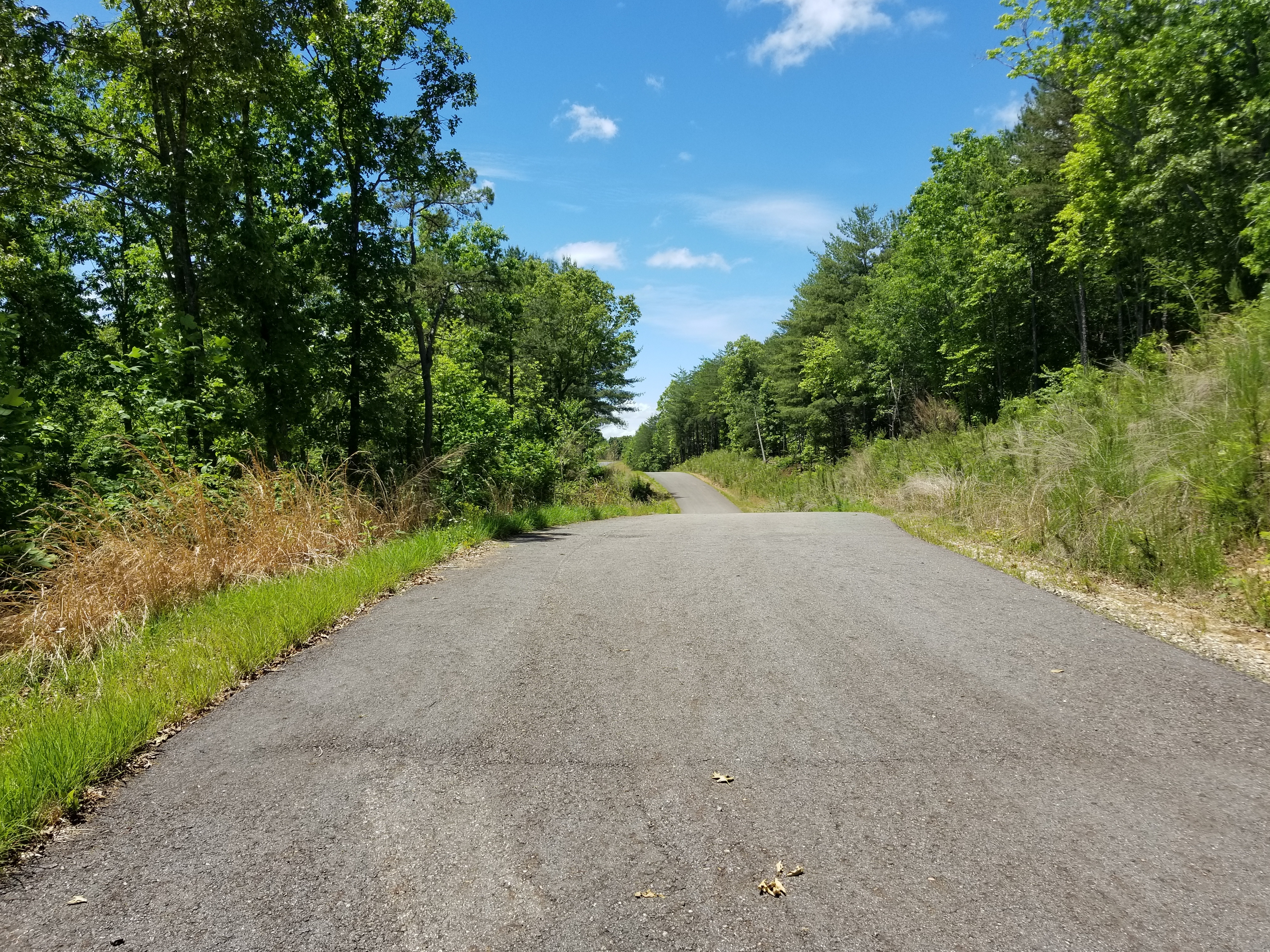 Blairsville Golf Course Community 17,500 LOT for Sale