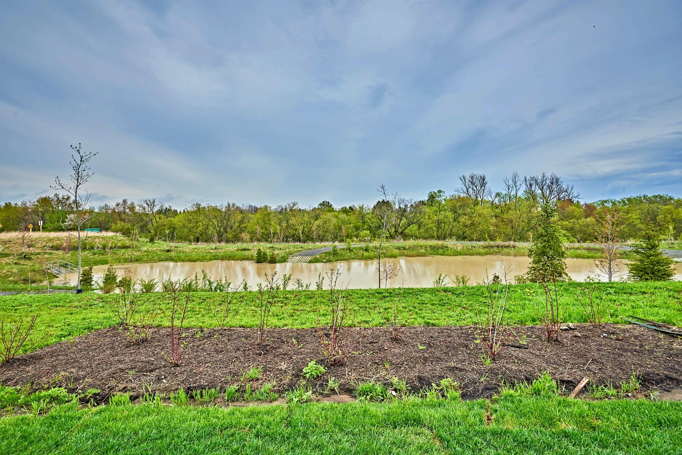 4 Bdrm Ravine Lot Home. Love It Or We'll Buy It Back!