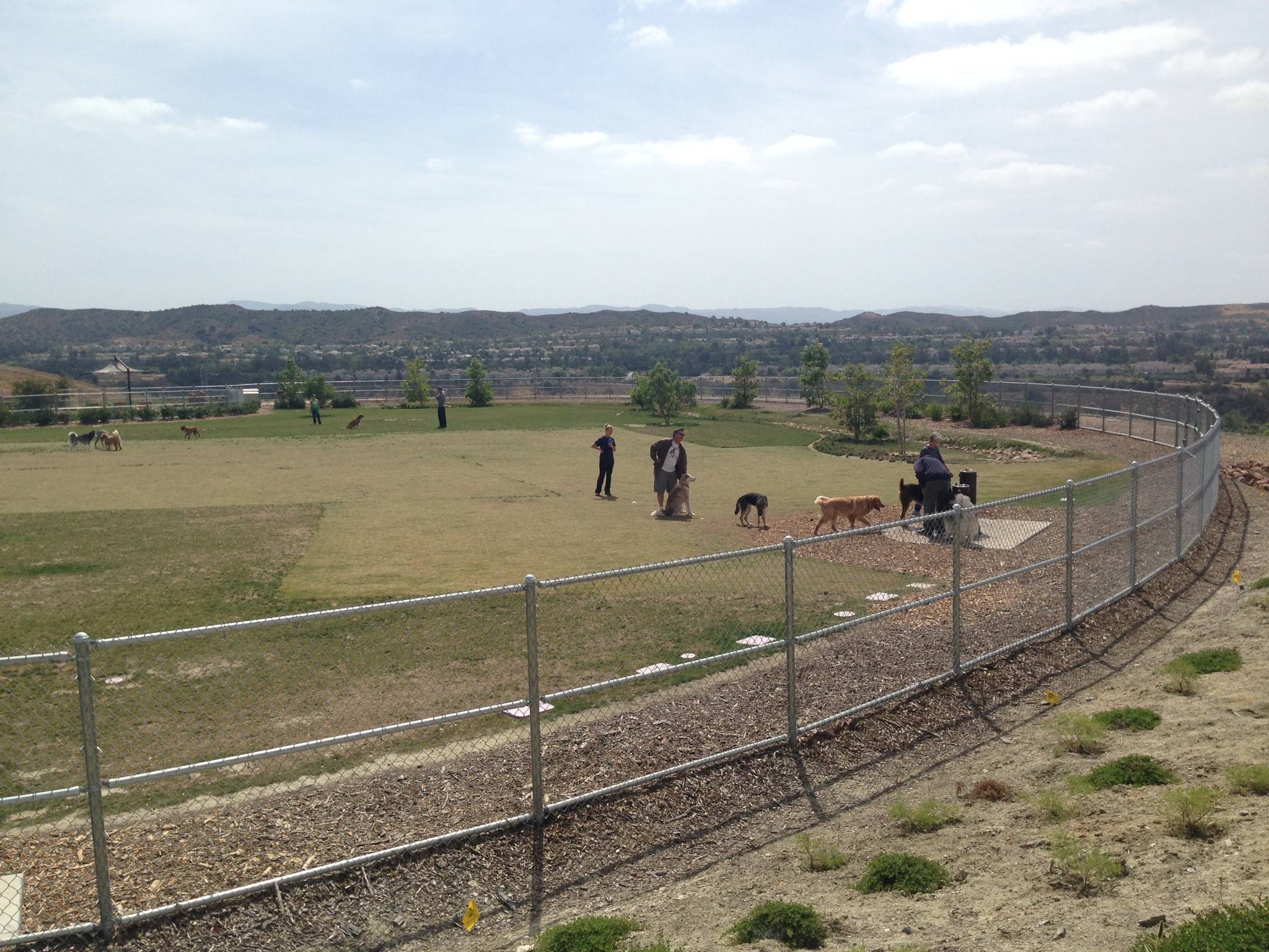 Mission Viejo Dog Park La Paws Dog Park
