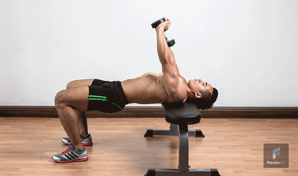 Pullover avec Haltère Exercice Muscler la cage Thoracique