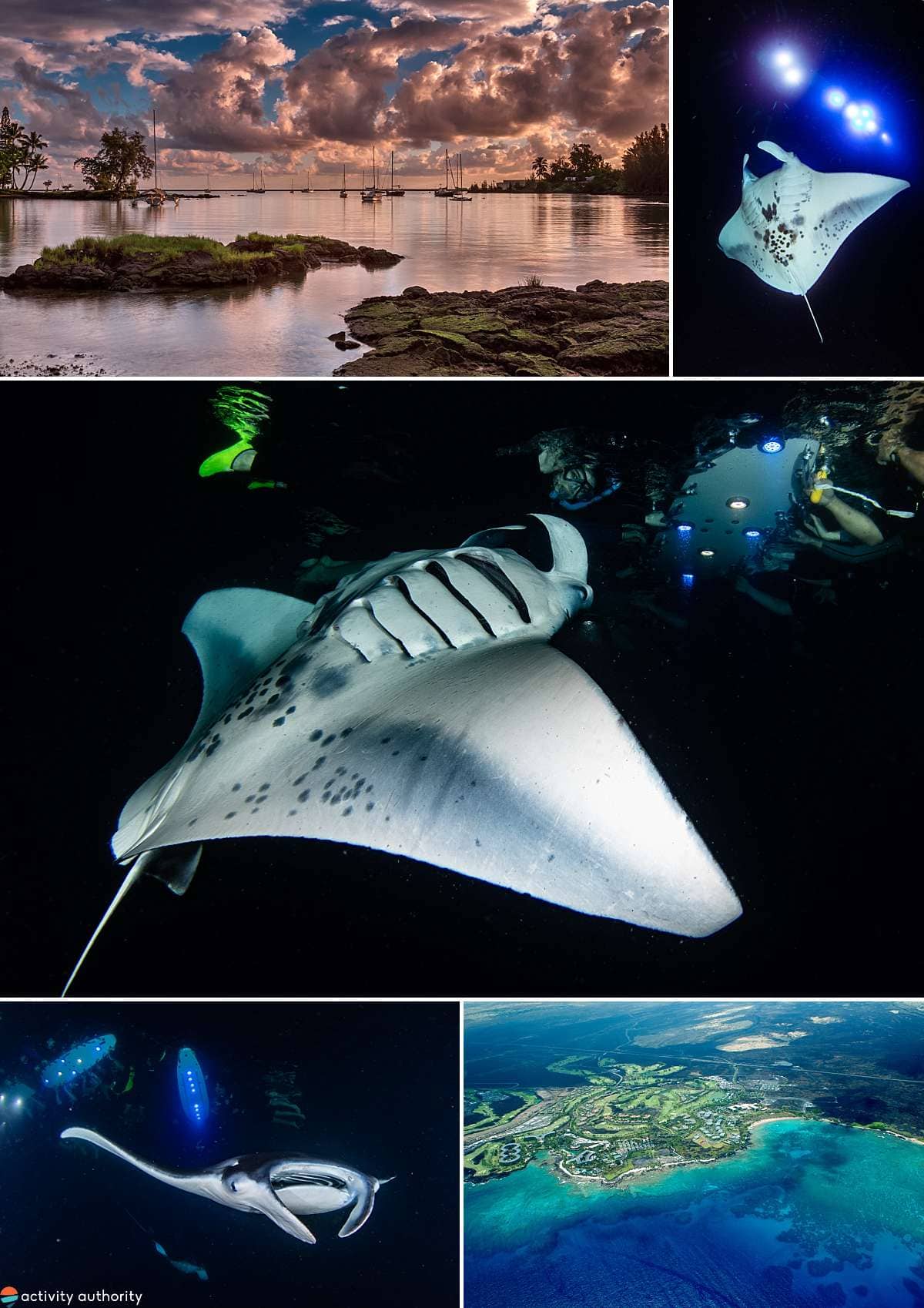 Best Kona Manta Ray Snorkel Tour Big Island Manta Ray Tours