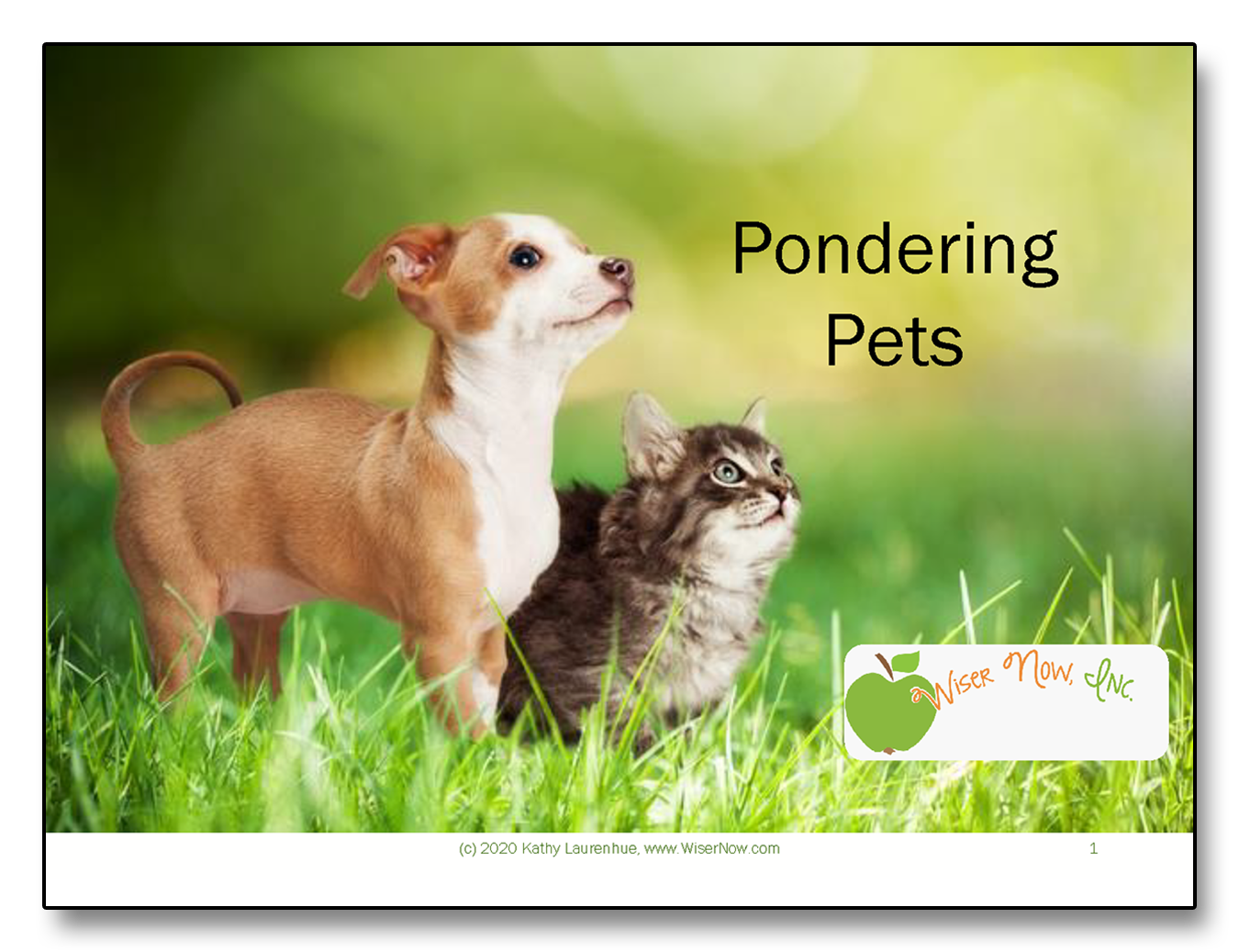 Pondering Pets Activity Connection