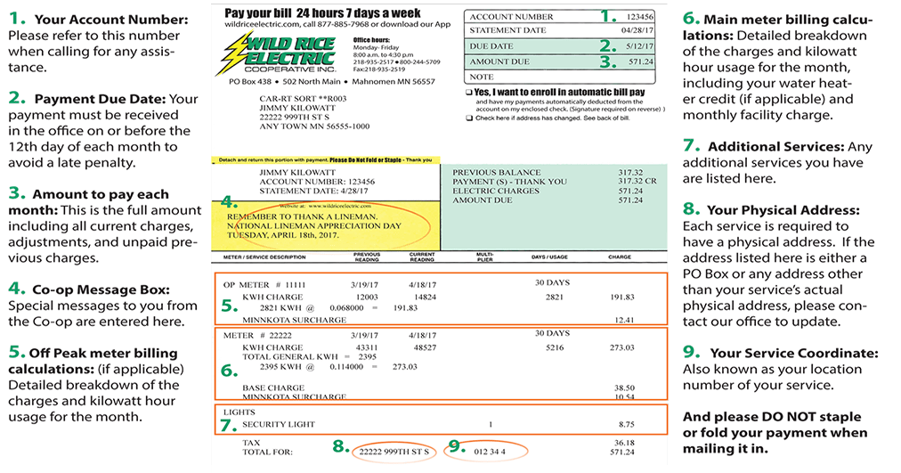 Simplify Your Life By Paying Your Wild Rice Electric Bill Online