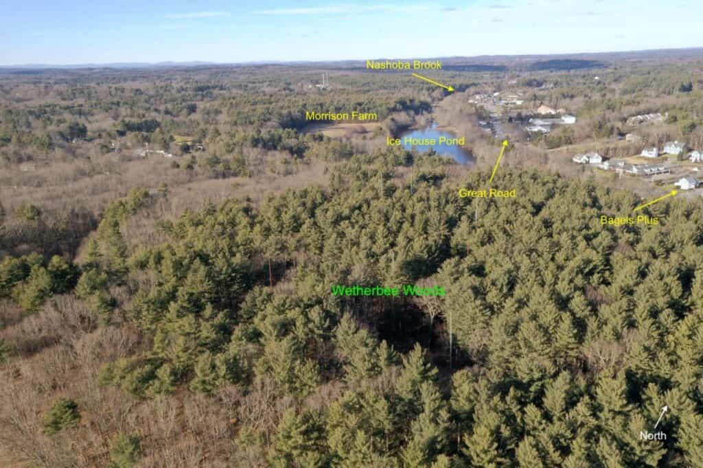 Opportunity to Protect Wetherbee Woods Acton Conservation Trust