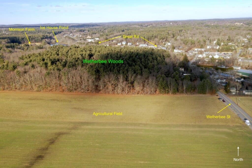 Opportunity to Protect Wetherbee Woods Acton Conservation Trust