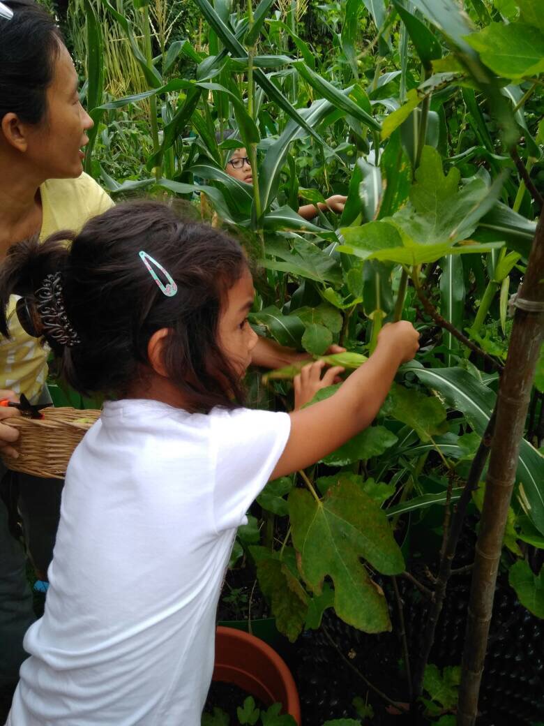 ES Session 5, Week 4 Acton Academy KL A Learner Driven Community