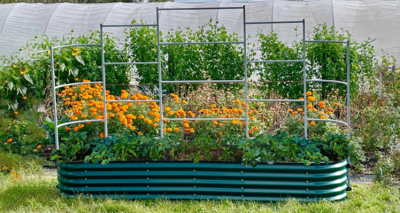 Bring Lasting Beauty To Your Garden With Galvanized Raised Beds