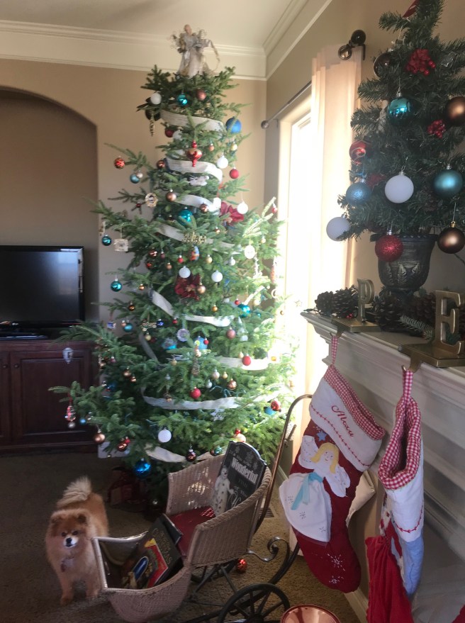 O Christmas Tree… Troy Campbell