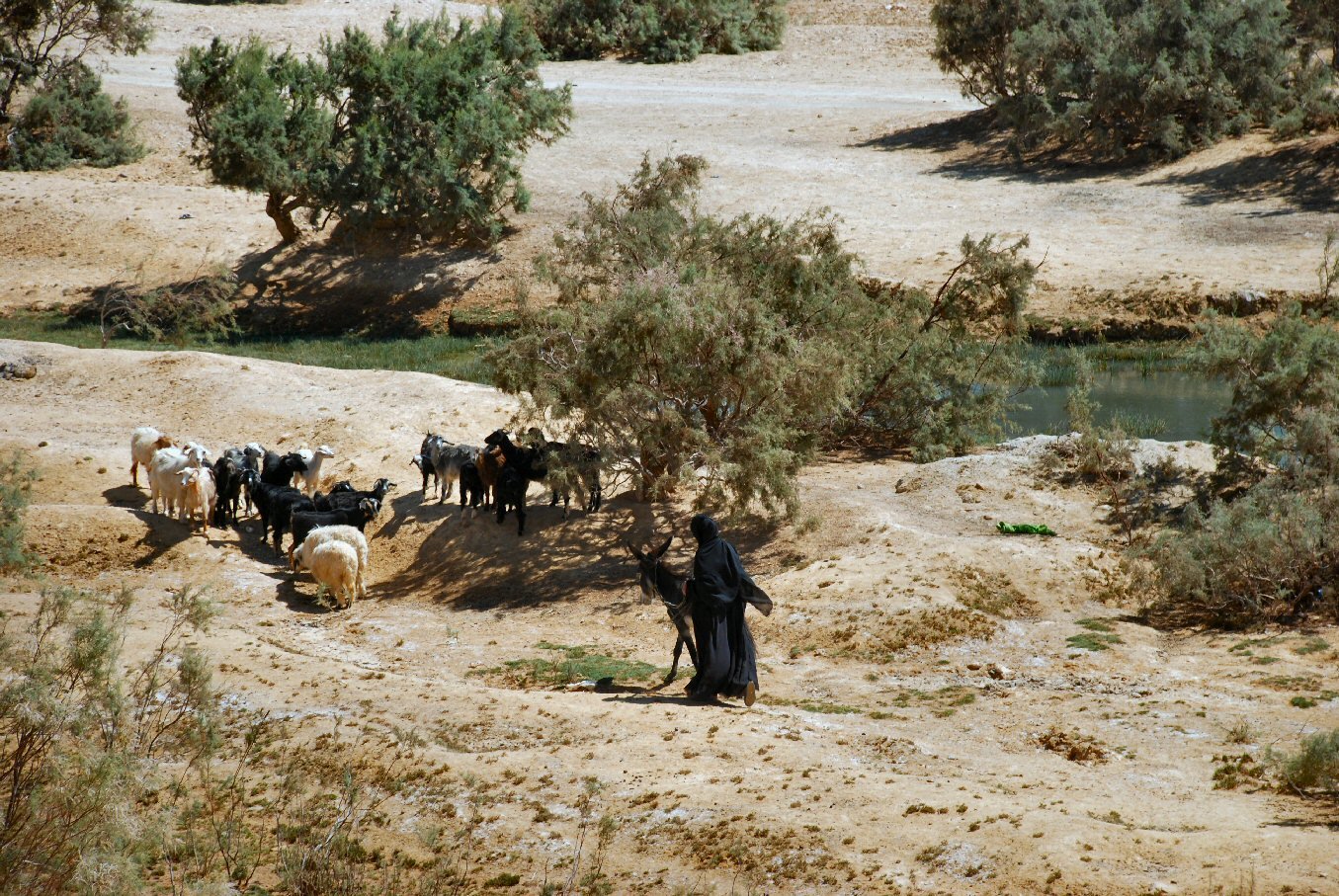 Acts 242 Study Test at Marah