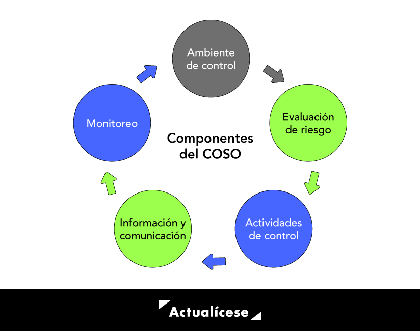 ComponentesdelCOSO Actualícese