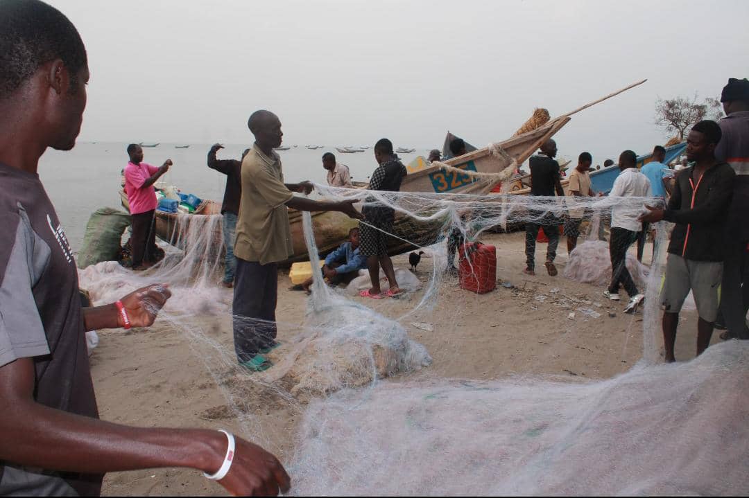 Lac Édouard quand l’anarchie et la savanisation contribuent à la