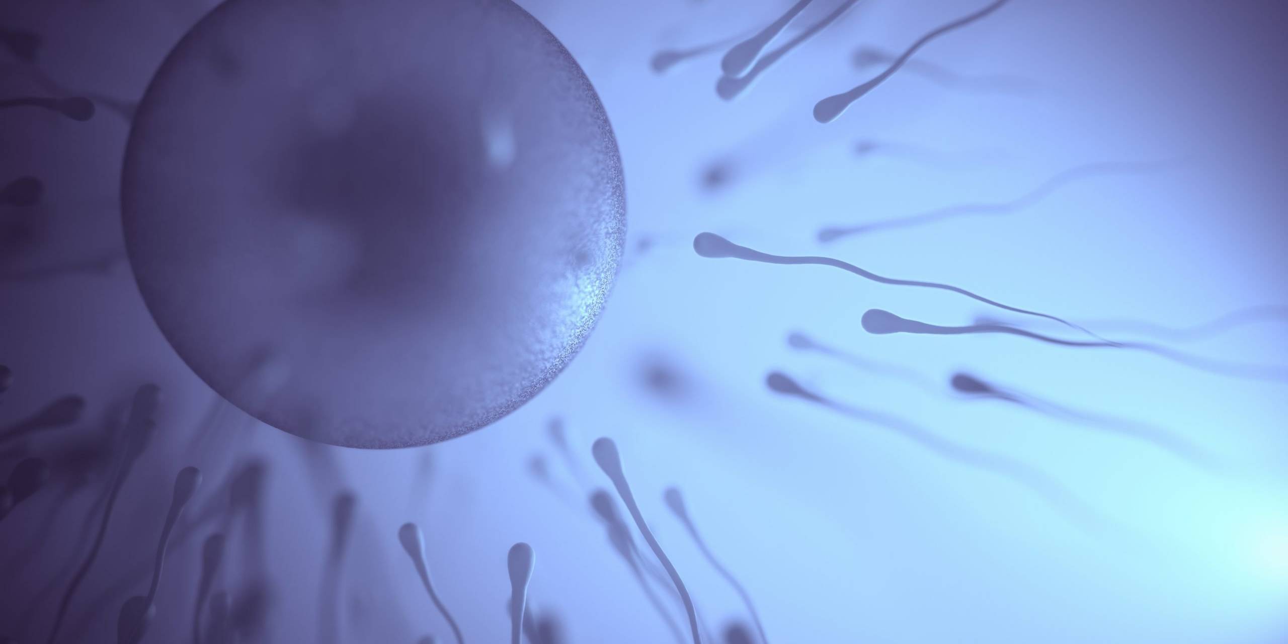 Acupuncture During IVF Treatment for Side Effects Acu8 Health Perth Fertility & Healing