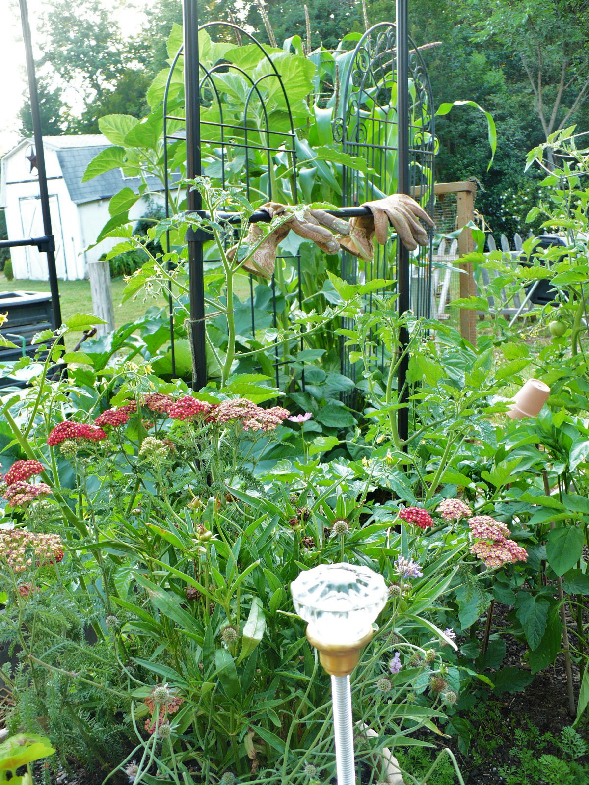 Blinged DIY Garden Hose Guides