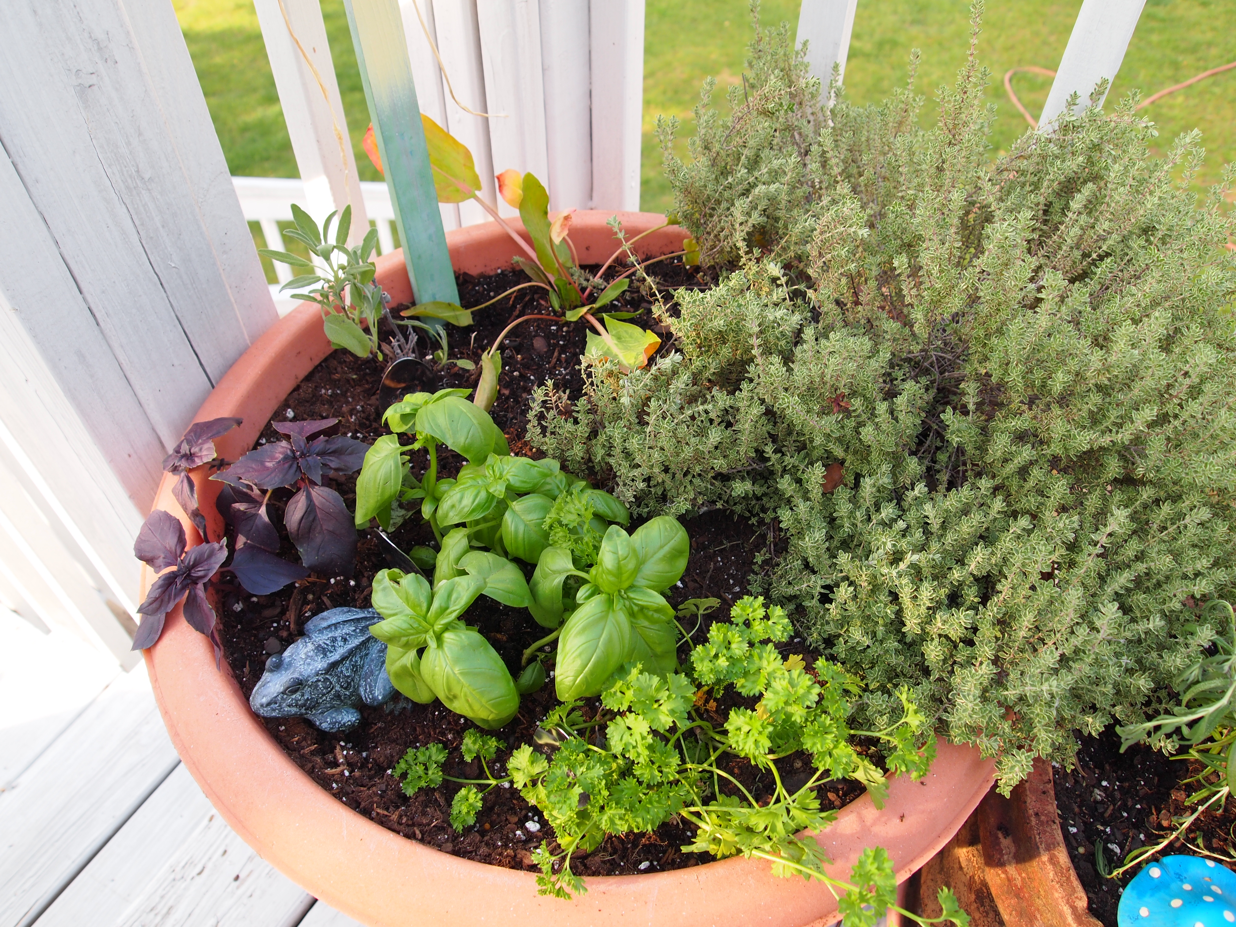 Container Herb Garden A Cultivated Nest