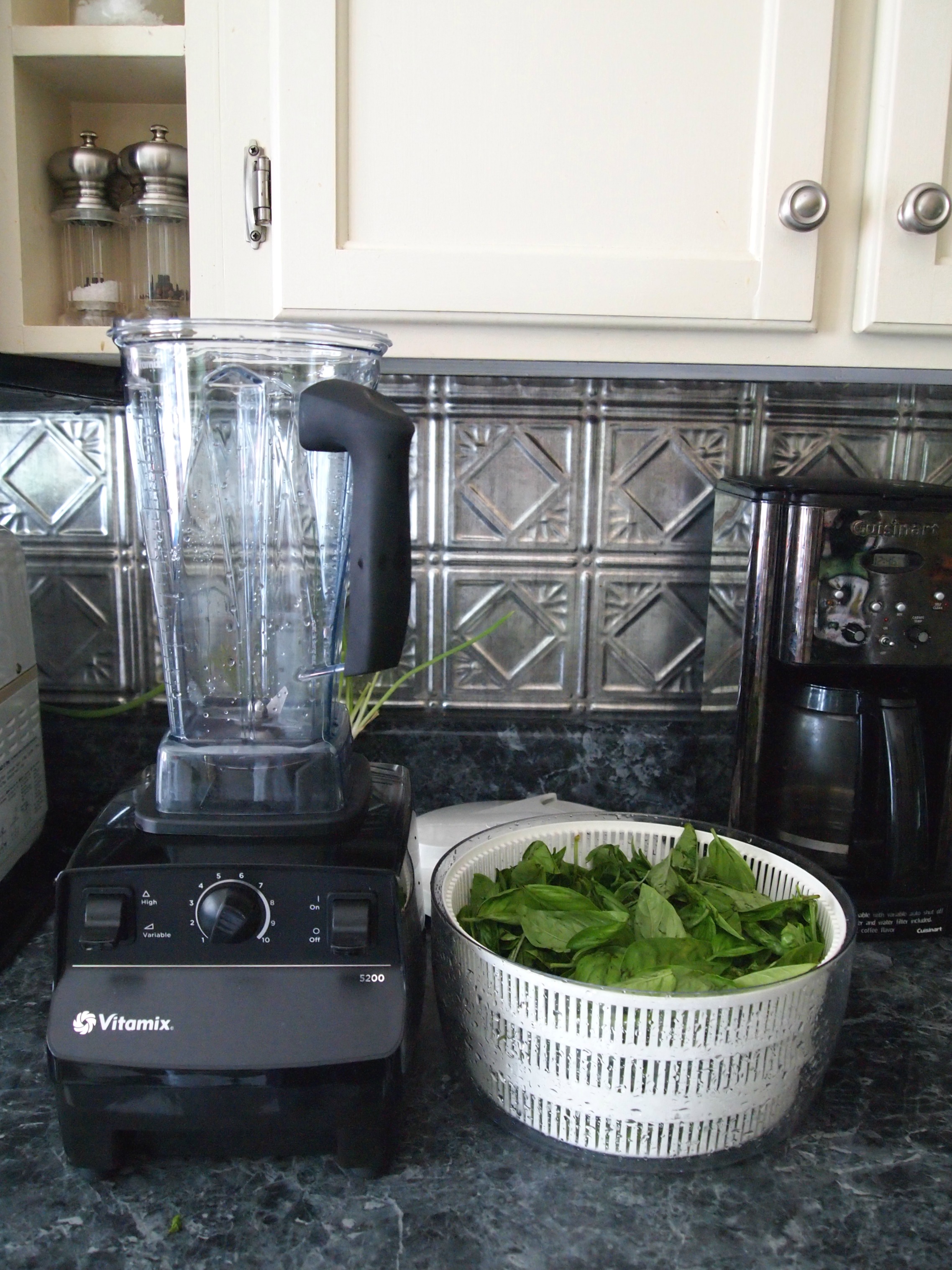 Basil, the garden & the fence A Cultivated Nest