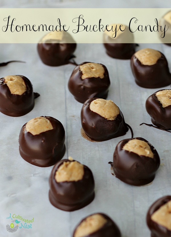 Homemade Buckeye Candy Recipe