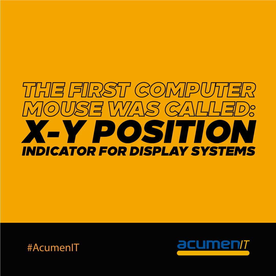 The first computer mouse was called..