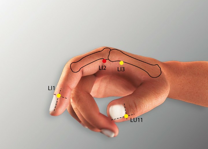 LI 2 ERJIAN Large Intestine Meridian Acupuncture Point