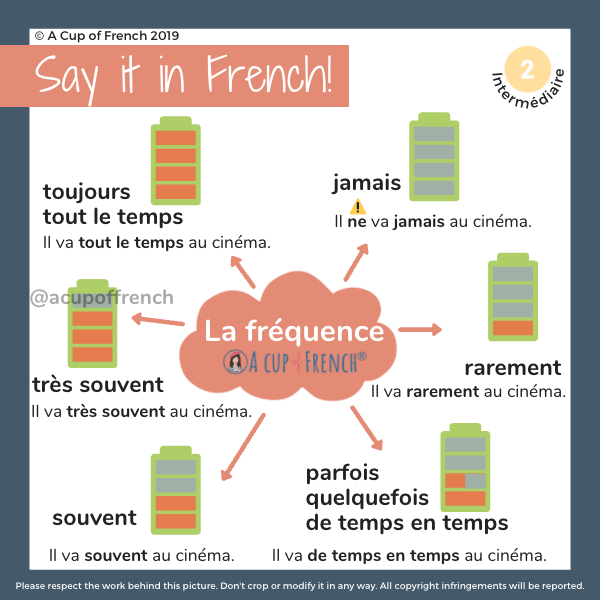 Frequency adverbs in French A Cup of French