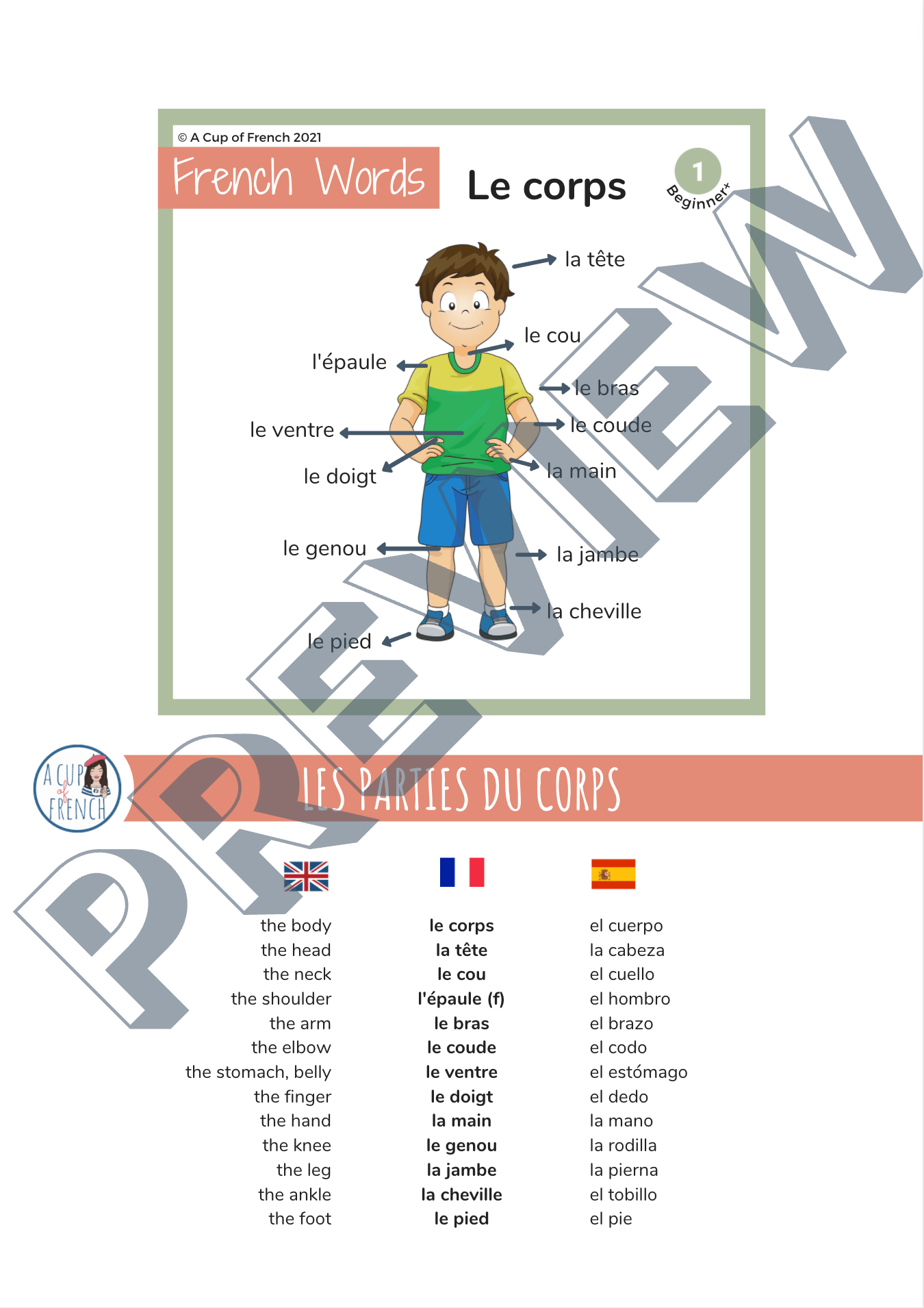 Parties du corps et du visage PDF + MP3 A Cup of French