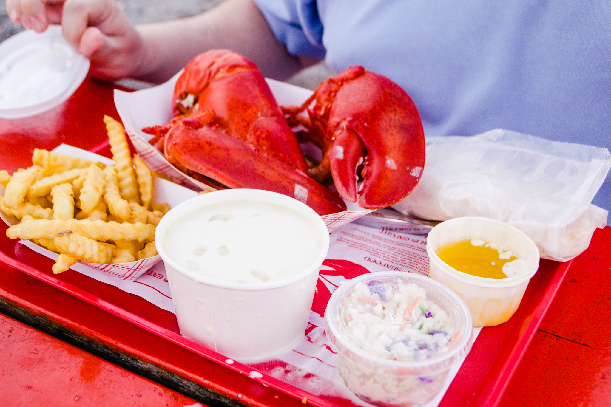 Why You MUST Try The Lobster Shack at Two Lights in Maine A Cup of Kims