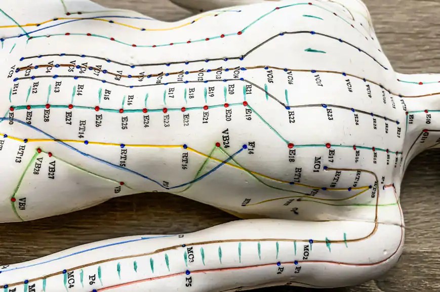 P6 acupressure point Everything To Know Acupressure Guide