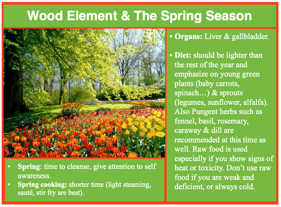 All About The TCM Liver AcuPro Academy