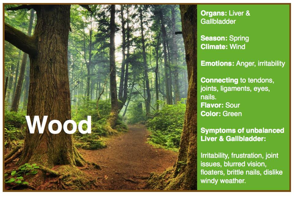 All About The TCM Liver AcuPro Academy