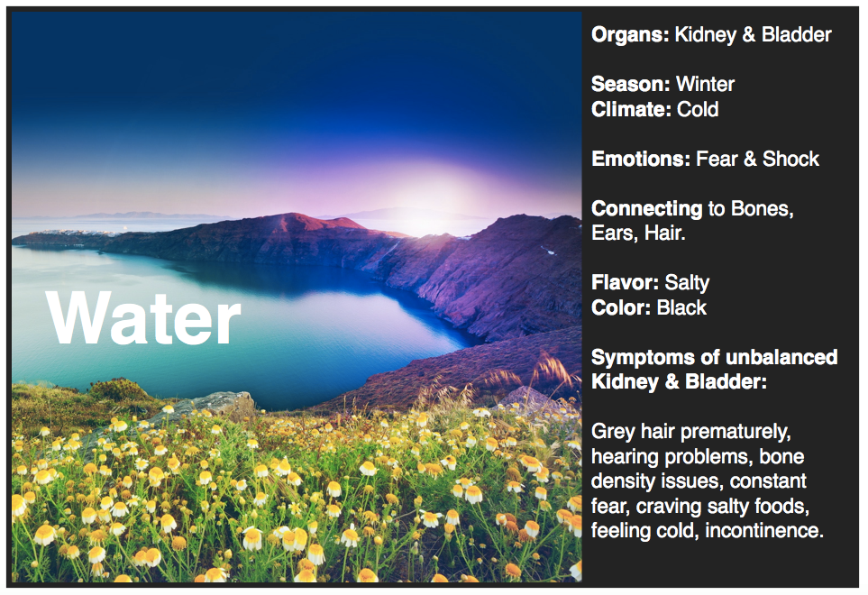 All About the TCM Kidneys AcuPro Academy